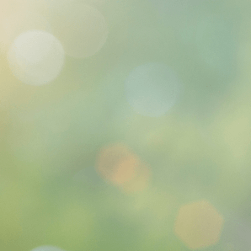 Euthanasie, mes valeurs en question